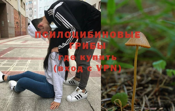 твердый Протвино